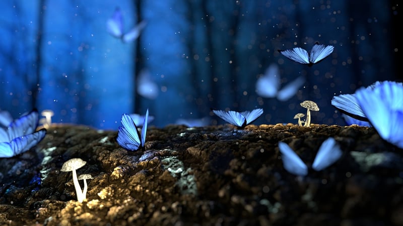 Enchanted Forest Picnics